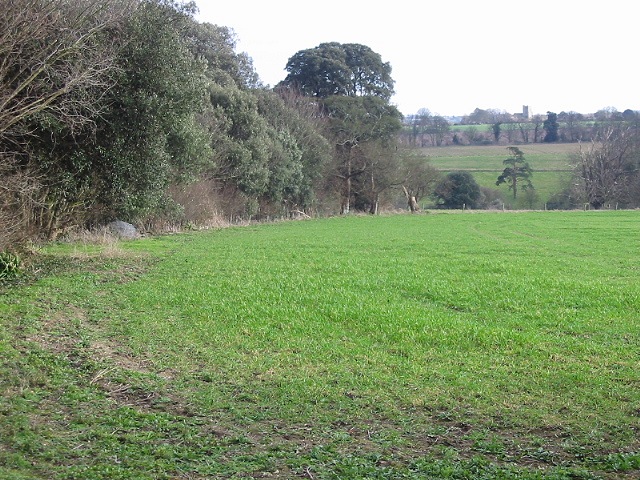 Field and woodland