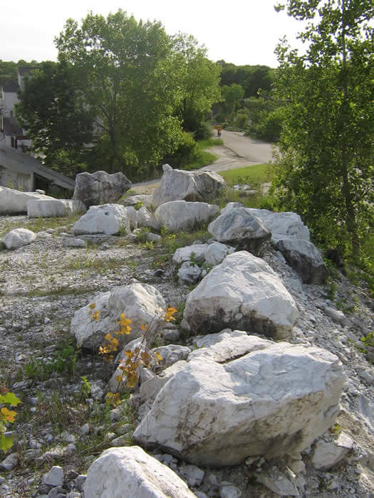 A view of some rocks and trees on the side of a road.