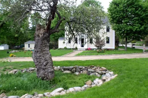 Wealthy Apple Tree House